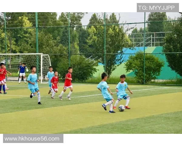 矮个子也能闪耀绿茵场身体矮小的足球明星们的奋斗与荣耀